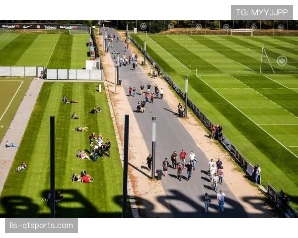 传统区域体育网络商业模式走到尽头，球迷观赛习惯被迫进入应急状态